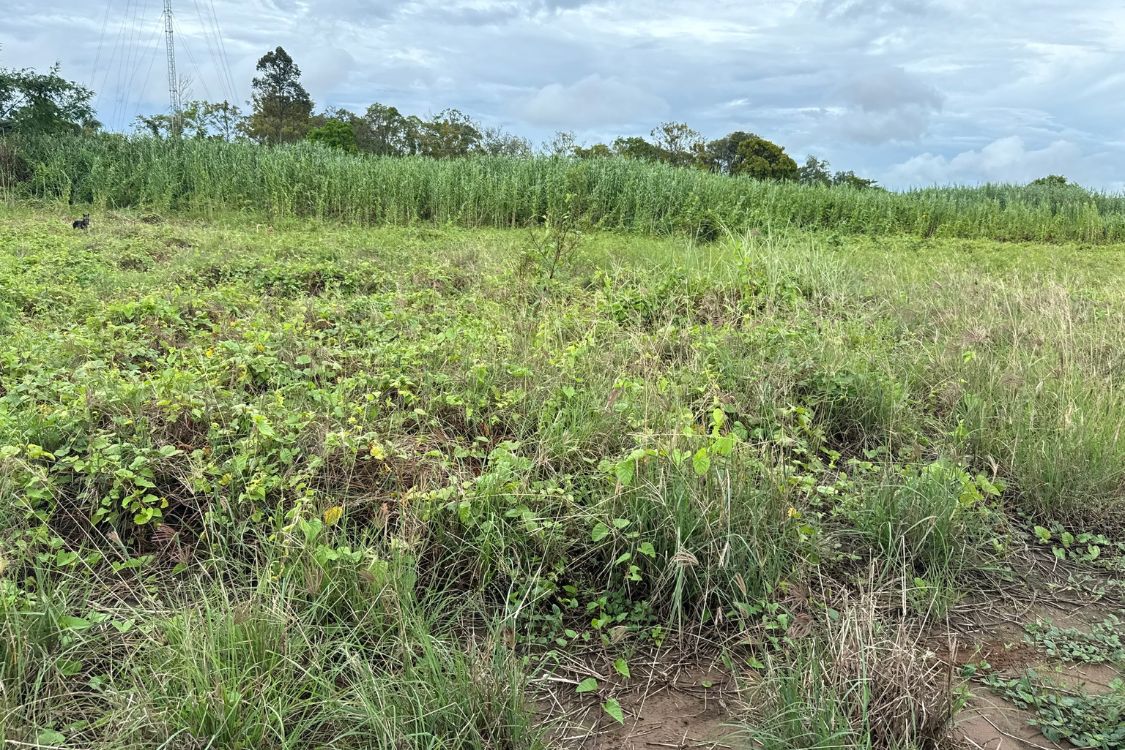 Quỹ đất lớn Cồn Mỹ Hòa Hưng - Hình 5